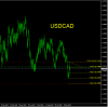 USDCAD.png