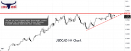 clonghornfx.usdcad.png