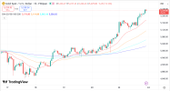 GOLD 24 2 2026 H1.png