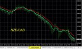 4-29-2026 NZDCAD Chart.jpg
