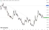 CNH.jpg