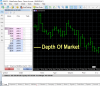 Depth Of Market.png