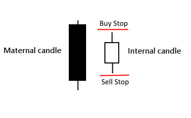 Maternal bar - Internal bar