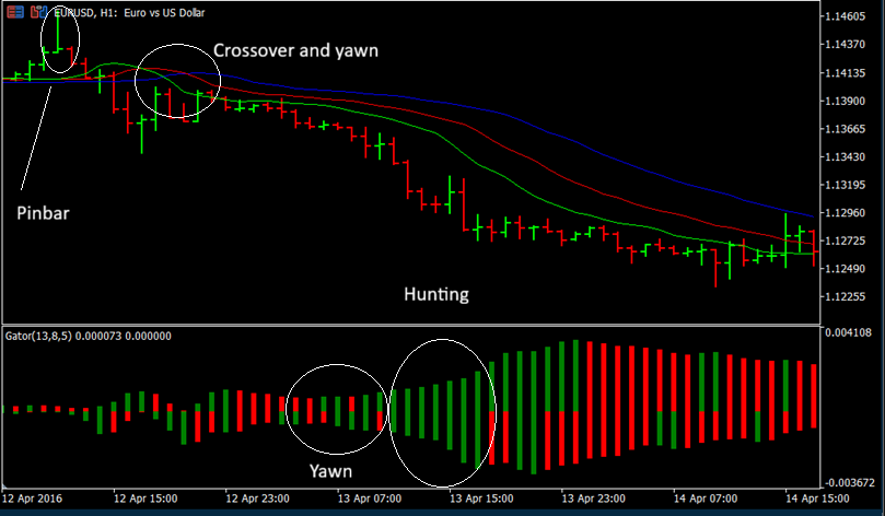 Bill Williams' Gator Oscillator Example of Yawning then Hunting