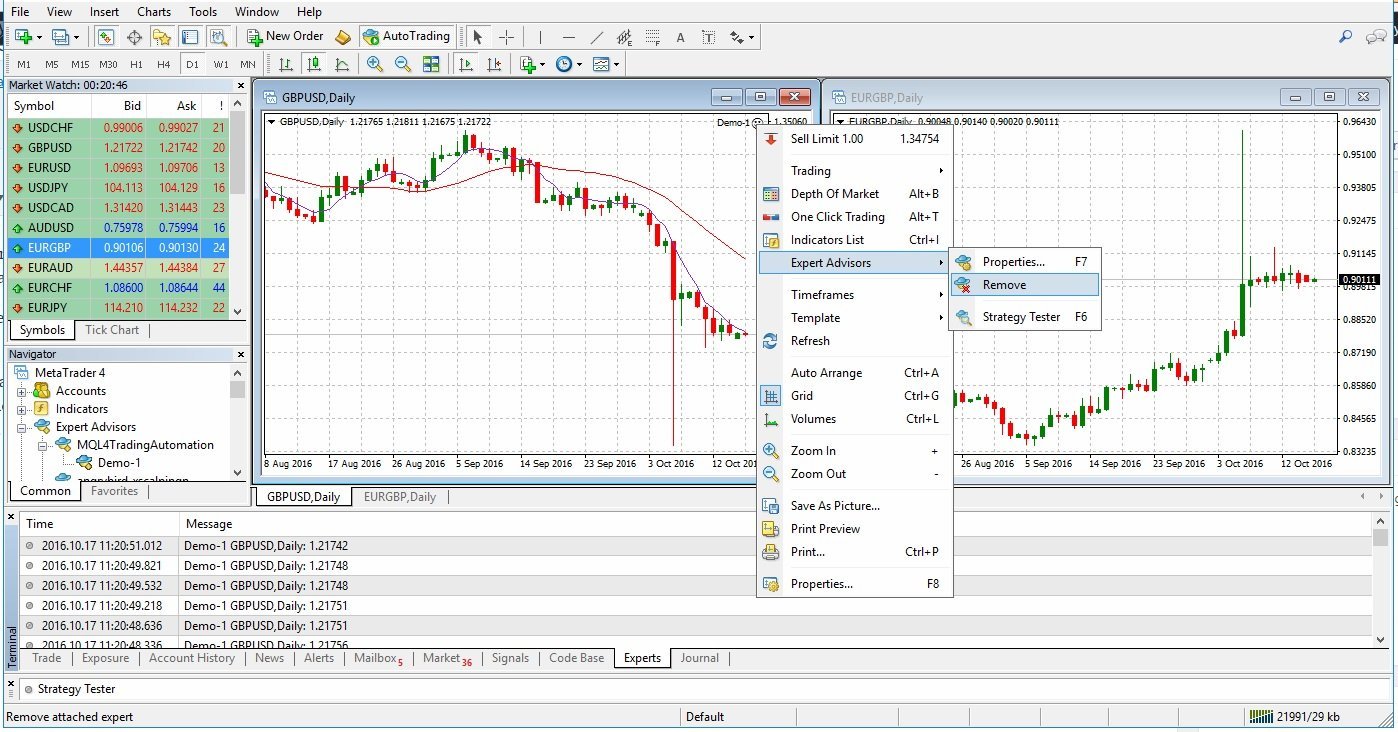 Removing MT4 Expert Advisor from Chart